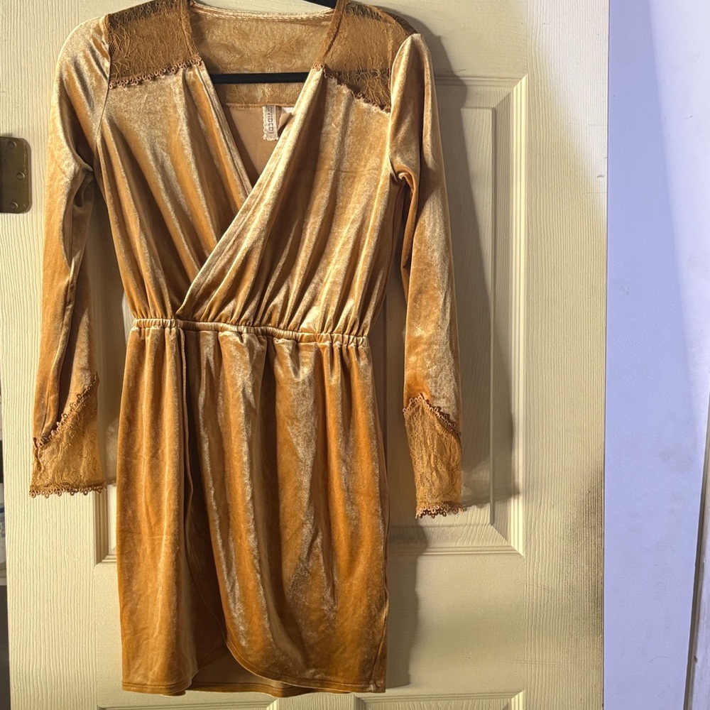 H&M Champagne Velvet Dress